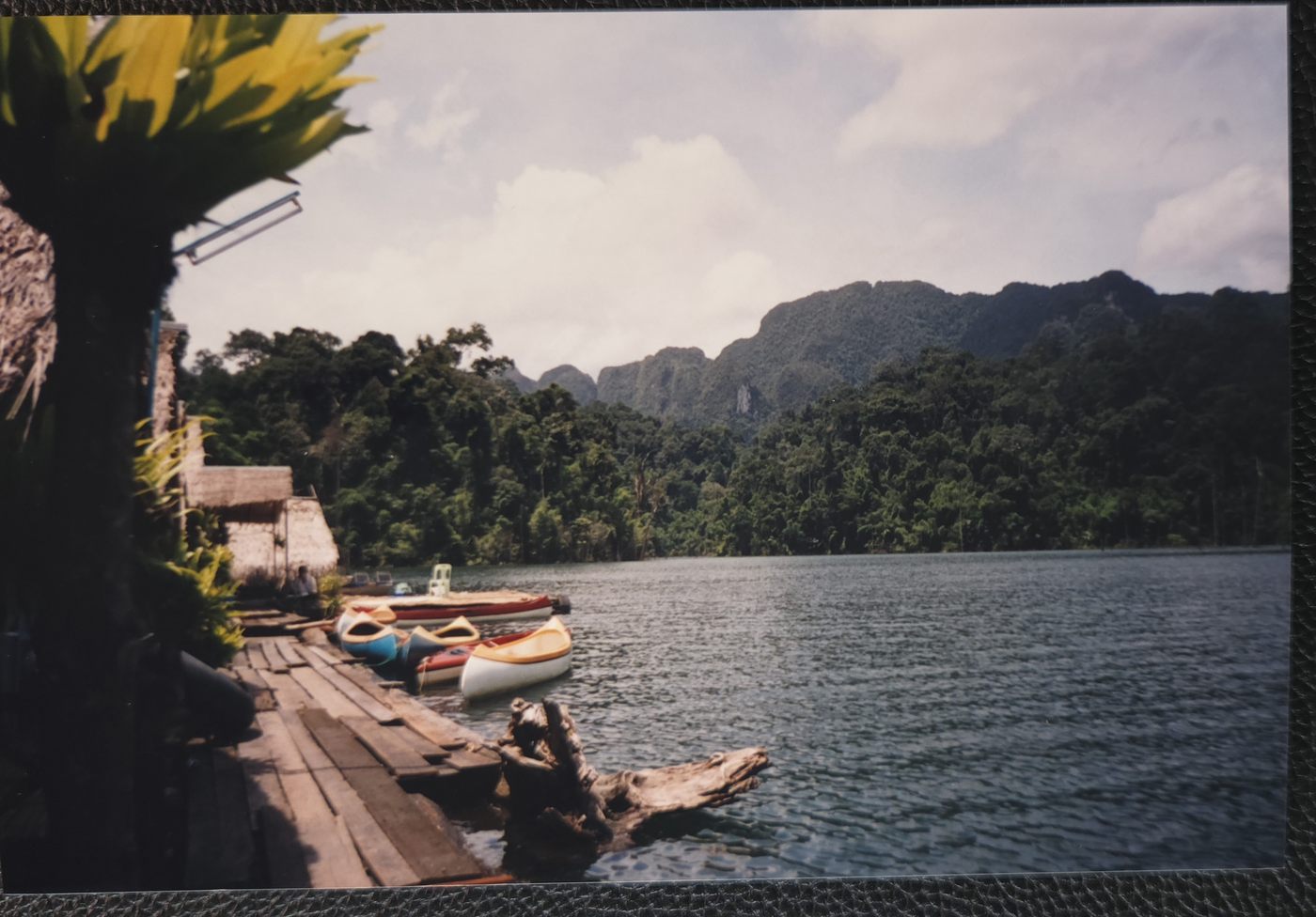 awesome place we stayed one night - deep in a valley we stayed in a series of off the grid floating cabins… I remember the monkeys howling and playing in the tress.